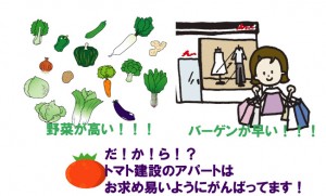tomatoyasuiapart